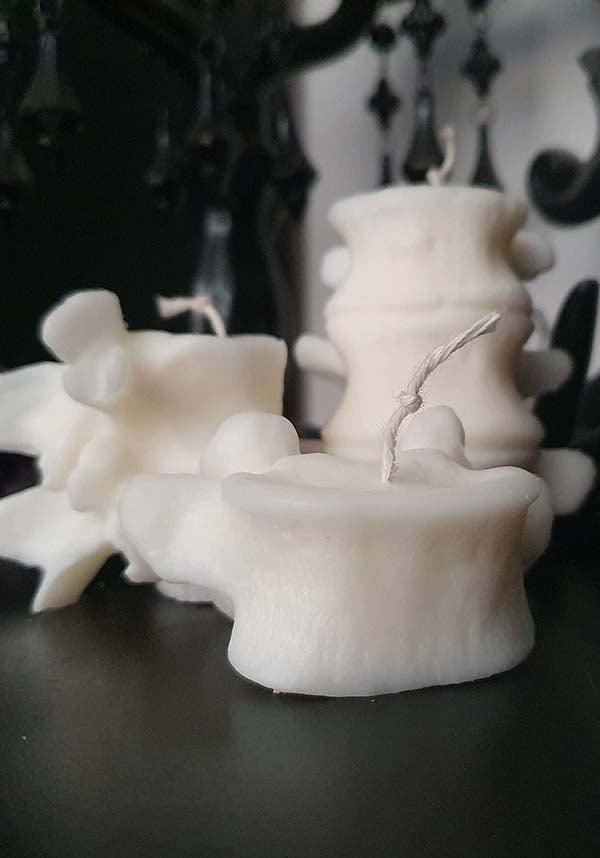 Vertebrae | CANDLE COLLECTION