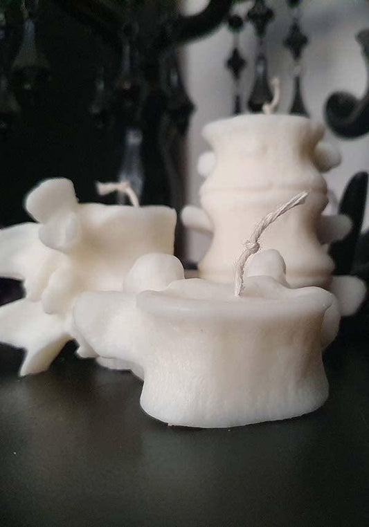 Vertebrae | CANDLE COLLECTION