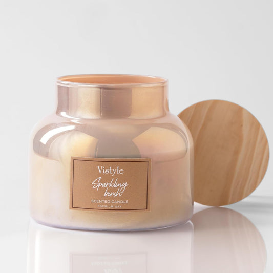 Scented Candle, 16 Oz Large Single Wick Jar Candle up to 65+ Hours Burn time, Sparkling Birch Scented for Home, Aromatherapy Candle Gifts for Women and Men