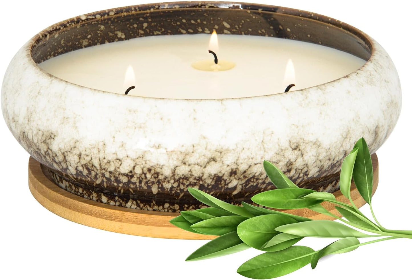 Scented Candles, 3 Wicks Large Sage Candles for Home Scented, 17 oz Aromatherapy Candle Gifts for Women, Decorative Natural Soy Candles with Long Lasting for Mother's Day Birthday Anniversary