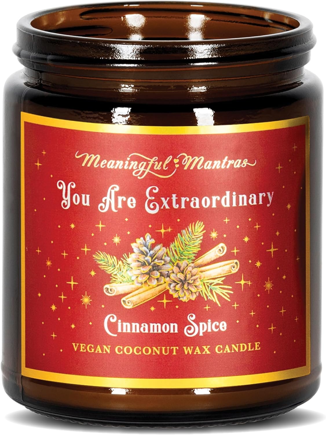 Scented Candles - Candles for Women - Aromatherapy Candles - Essential Oil Candle You are Extraordinary Cinnamon, Cardamom and Clove Holiday Candle - Special Limited Edition