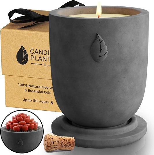 Concrete Cement Candle Planter - Candles for Home Scented, Soy Candles - Scented Candle & Dual Purpose Jar Candles, Strong Scented Candles - 8 Oz, 50-Hour Burn (Grey Lavender)