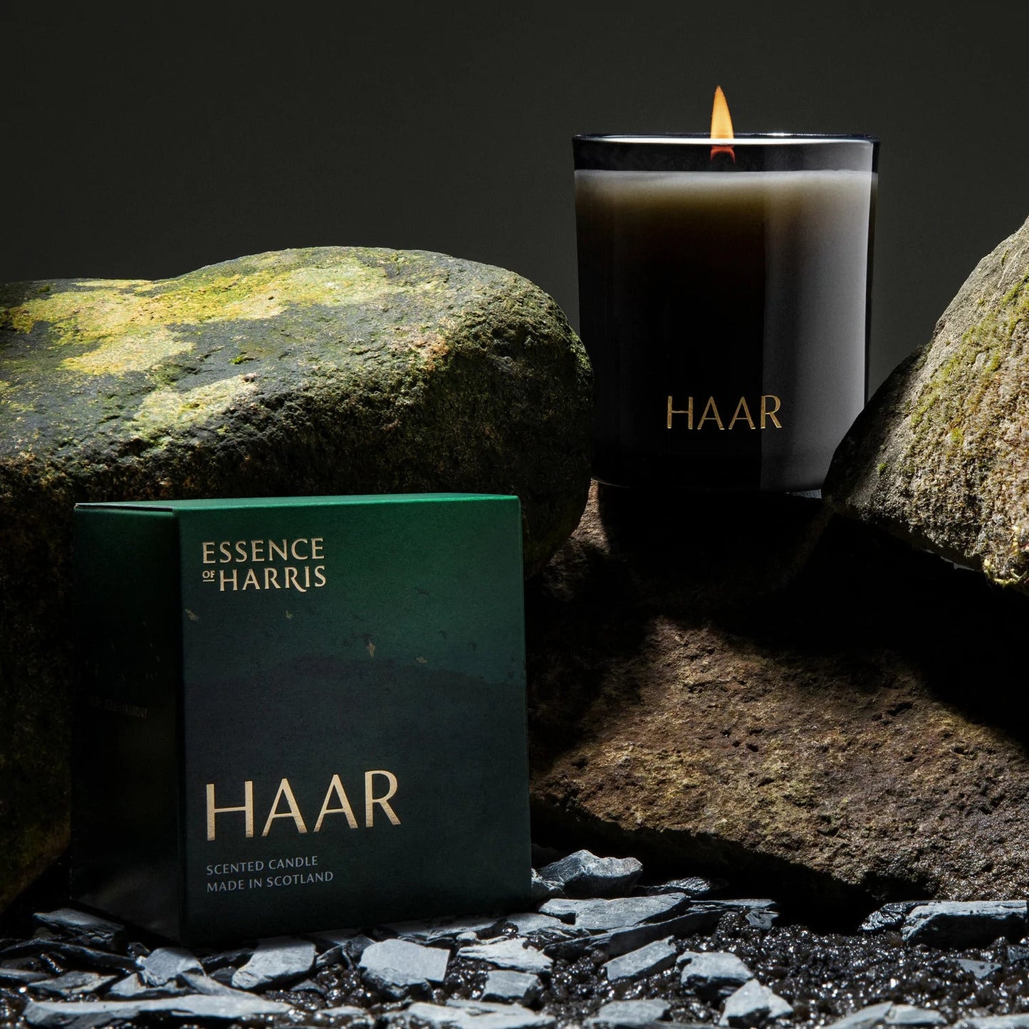 Haar Candle (Fig Leaf & Cedar)