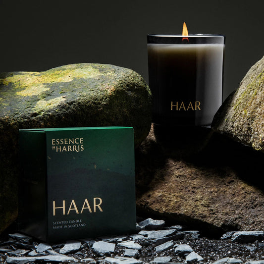 Haar Candle (Fig Leaf & Cedar)