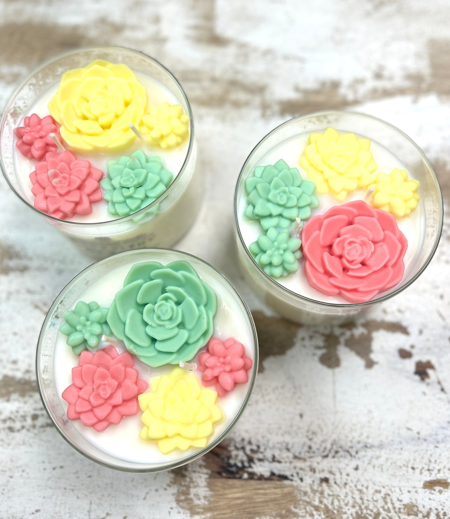 Succulent Garden Soy Wax Candle