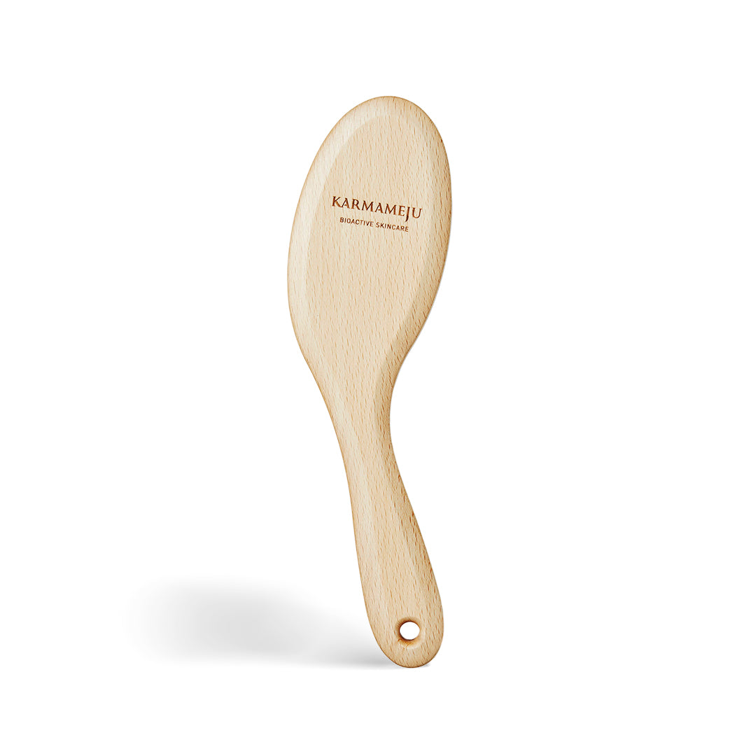 Recharge Ionic Body Brush with Handle