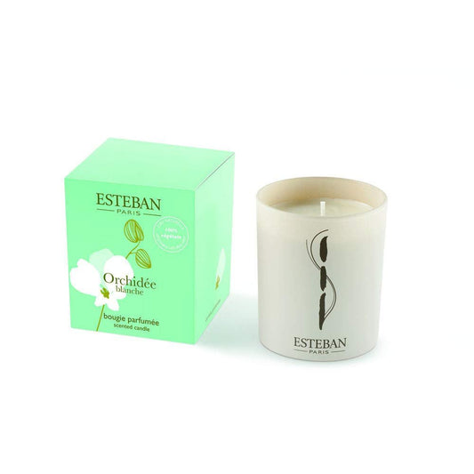 Scented Candle | Orchid White
